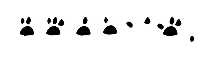 katype loremaster  Free Fonts Download