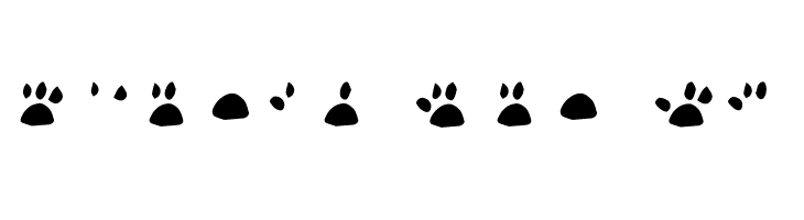 katype loremaster  Free Fonts Download