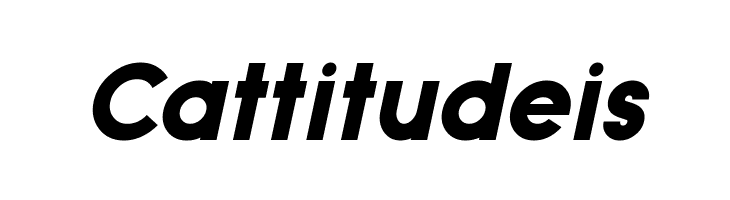 Typo Grotesk Black Italic  Free Fonts Download