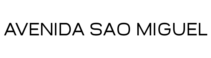 Widolte Regular Demo  Free Fonts Download