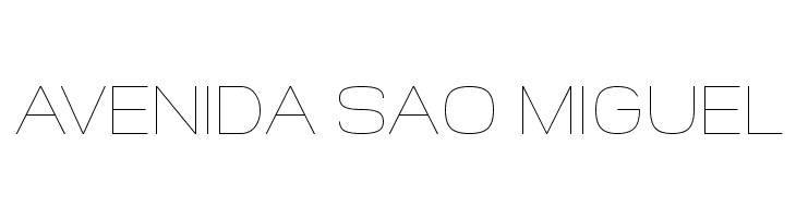 Widolte Thin Demo  Free Fonts Download