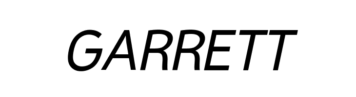 Malter Sans Italic Demo  Free Fonts Download