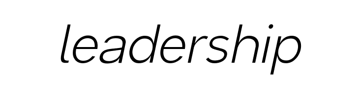 Malter Sans Light Italic Demo  Free Fonts Download