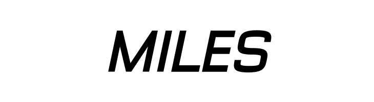 Typo Style Demo Bold Italic  Free Fonts Download