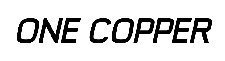 Typo Style Demo Bold Italic  Free Fonts Download