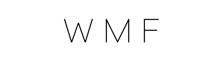 Typo Style Thin Demo  Free Fonts Download