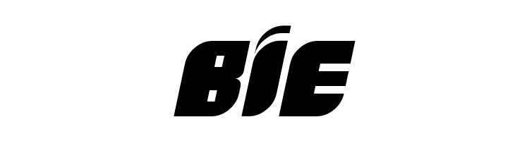 Boldie Italic  Free Fonts Download