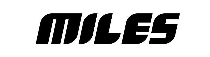 Boldie Italic  Free Fonts Download