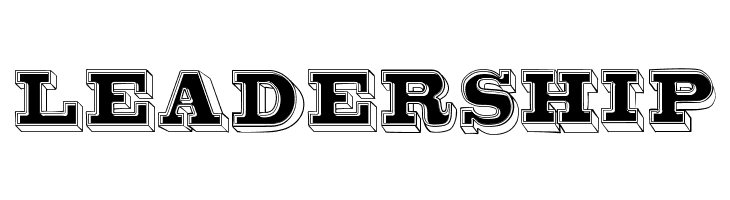 Bro 4D Demo  Free Fonts Download