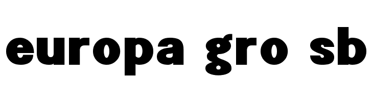 POE Sans New Black  Free Fonts Download