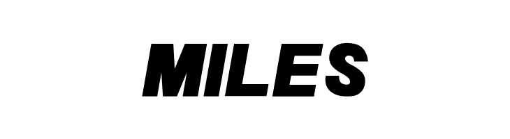 POE Sans New Black Italic  Free Fonts Download