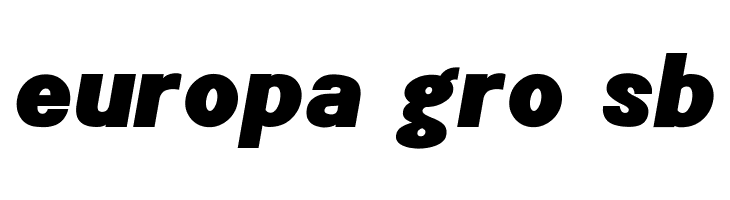 POE Sans New Black Italic  Free Fonts Download