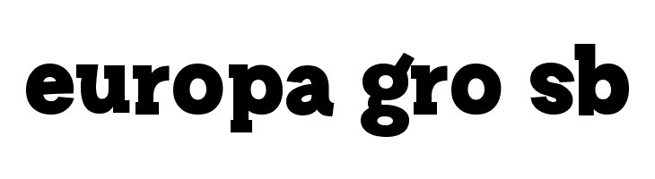 Story Choice Sans Serif Heavy  Free Fonts Download