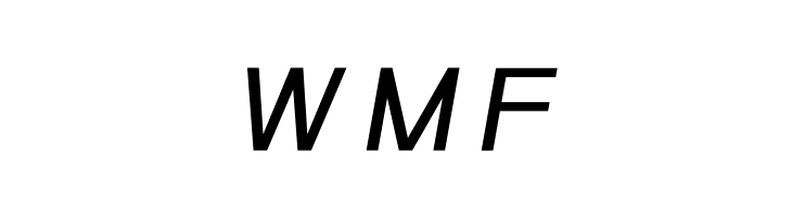 POE Sans Pro Medium Italic  Free Fonts Download