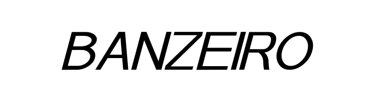 POE Sans Pro Expanded Italic  Free Fonts Download