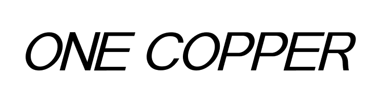 POE Sans Pro Expanded Italic  Free Fonts Download