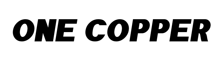 POE Sans Pro Expanded Heavy Italic  Free Fonts Download