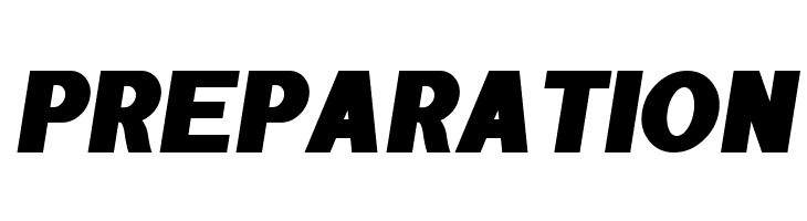 POE Sans Pro Expanded Heavy Italic  Free Fonts Download