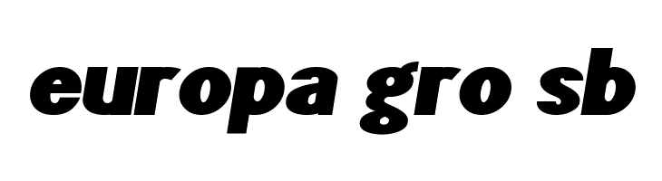 POE Sans Pro Expanded Heavy Italic  Free Fonts Download