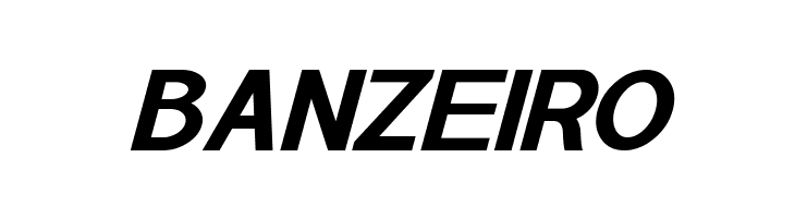 POE Sans Pro Expanded Bold Italic  Free Fonts Download