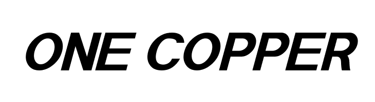 POE Sans Pro Expanded Bold Italic  Free Fonts Download