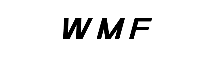 POE Sans Pro Expanded Bold Italic  Free Fonts Download