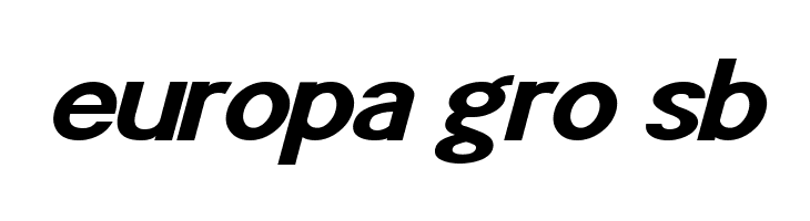 POE Sans Pro Expanded Bold Italic  Free Fonts Download