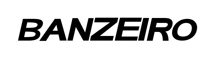 FunZone Two Italic  Free Fonts Download