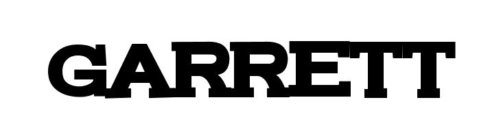 FunZone Two Serif Bold  Free Fonts Download