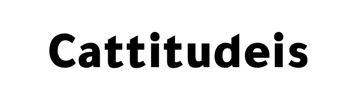 Tajawal Black  Free Fonts Download