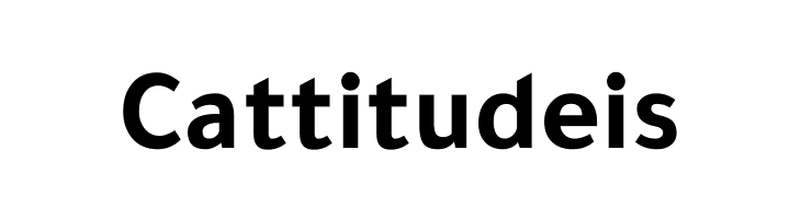 Tajawal-Bold  Free Fonts Download