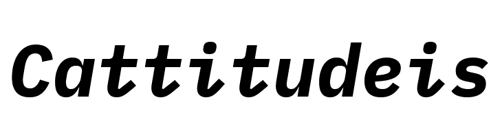 IBM Plex Mono Bold Italic  Free Fonts Download