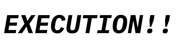 IBM Plex Mono Bold Italic  Free Fonts Download