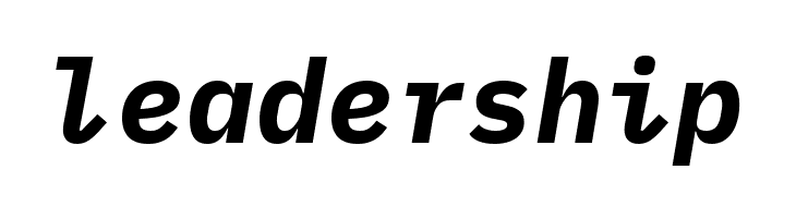 IBM Plex Mono Bold Italic  Free Fonts Download