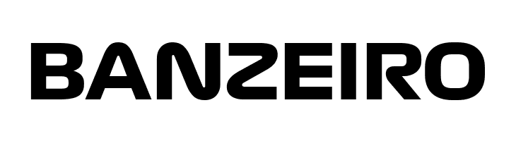 Formula1 Display Bold Bold  Free Fonts Download