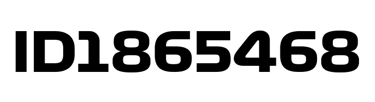 Formula1 Display Bold Bold  Free Fonts Download