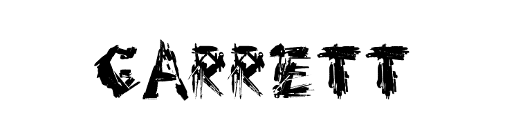 DF-Charlie_go! Bold  Free Fonts Download