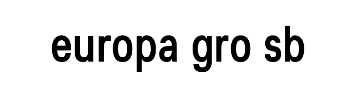 Lunchtype25 Condensed Medium  Free Fonts Download