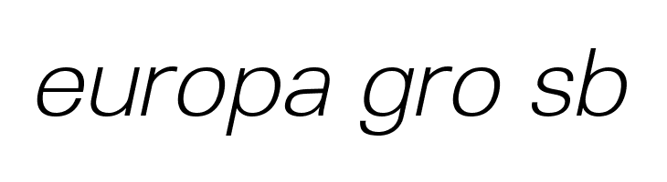 Lunchtype23 Light Italic  Free Fonts Download