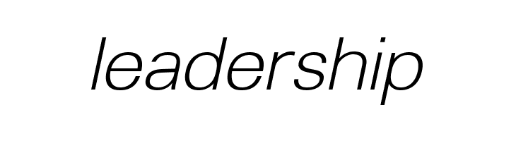 Lunchtype23 Light Italic  Free Fonts Download