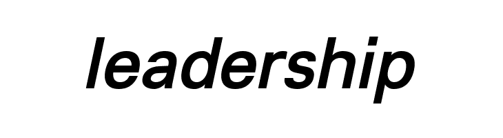 Lunchtype23 Medium Italic  Free Fonts Download