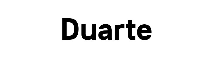 Lunchtype21 Bold  Free Fonts Download