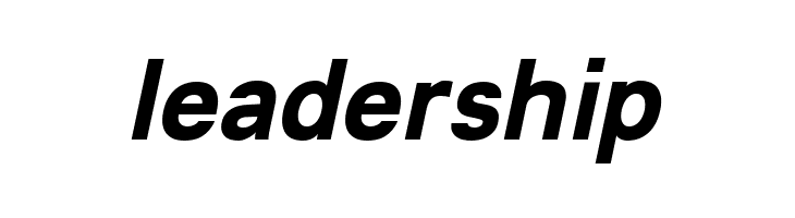 Lunchtype21 Bold Italic  Free Fonts Download