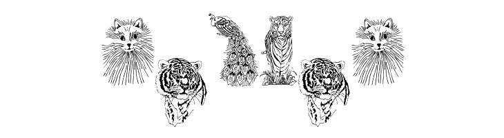 JUNGLE BUNCH  Free Fonts Download