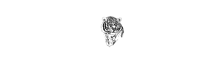 JUNGLE BUNCH  Free Fonts Download