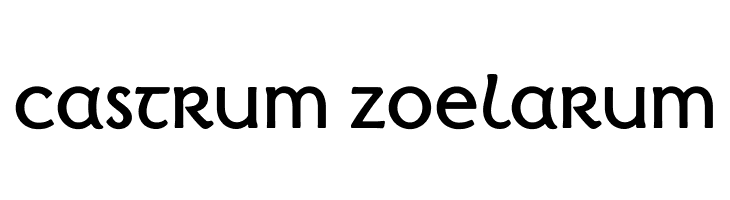 castrum%2Bzoelarum Irish Penny Font