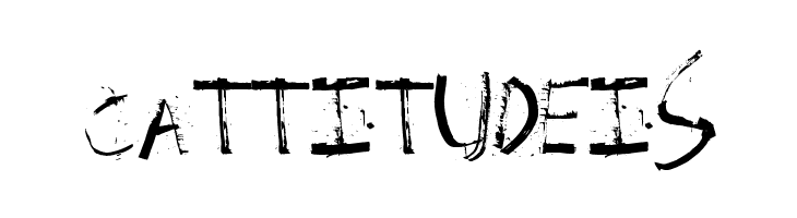 Spackler  Free Fonts Download