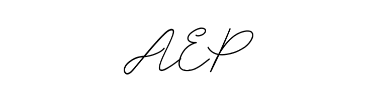 SignerellaScript  Free Fonts Download