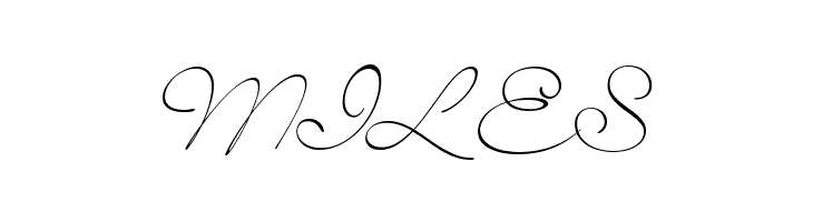 SignaritaLouisseThin  Free Fonts Download