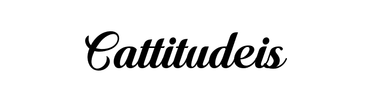 Quincho Script PERSONAL USE  Free Fonts Download